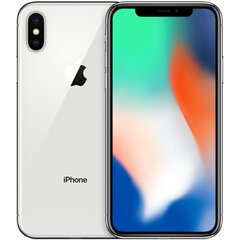 Prekė su pažeidimu. Apple iPhone X (Atnaujintas), 256GB, Sidabrinis kaina ir informacija | Prekės su pažeidimu | pigu.lt