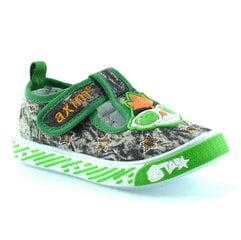 Laisvalaikio batai berniukams Axim, žali kaina ir informacija | Sportiniai batai vaikams | pigu.lt