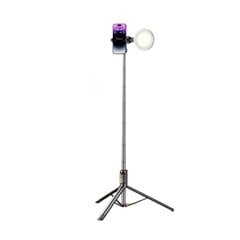 Селфи Znnco 241864 360°Fill Light Bluetooth5.1 1.7m цена и информация | Моноподы для селфи («Selfie sticks») | pigu.lt