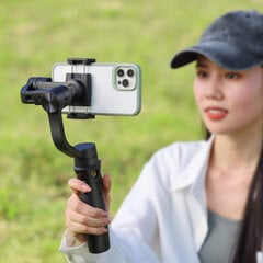 Hohem M5 iSteady6 kaina ir informacija | Asmenukių lazdos (selfie sticks) | pigu.lt