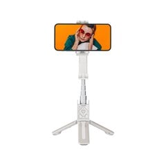 Hohem iSteadyQ цена и информация | Моноподы для селфи («Selfie sticks») | pigu.lt