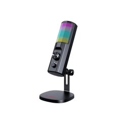 USB микрофон Taidu TSP206 RGB type-c 3.5mm цена и информация | Микрофоны | pigu.lt