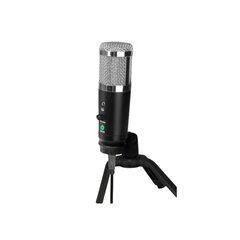 Depusheng A9 kaina ir informacija | Mikrofonai | pigu.lt