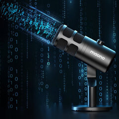 USB микрофон Sudotack PD100U type-c 192khz/24bit цена и информация | Микрофоны | pigu.lt