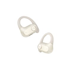 Беспроводные наушники Iflytek iFLYBUDS Nano+ 16.2MM type-c 40h AI  Bluetooth5.3 цена и информация | Наушники | pigu.lt