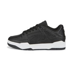 Повседневная мужская обувь Puma 38754403, черный цена и информация | Кроссовки для мужчин | pigu.lt