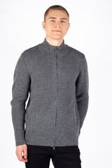 Свитер мужской Xint, серый цена и информация | Мужские свитера | pigu.lt