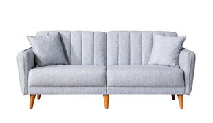 2-х частный гостиная мебельный комплект Asir Aqua-TKM03-1008, серый цена и информация | Комплекты мягкой мебели | pigu.lt