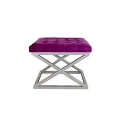 Pouffe Capraz - Silver, Fuchsia kaina ir informacija | Sėdmaišiai ir pufai | pigu.lt