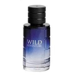 Tualetinis vanduo Conciver Wild Adventure EDT vyrams, 100 ml kaina ir informacija | Kvepalai vyrams | pigu.lt