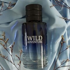 Tualetinis vanduo Conciver Wild Adventure EDT vyrams, 100 ml kaina ir informacija | Kvepalai vyrams | pigu.lt