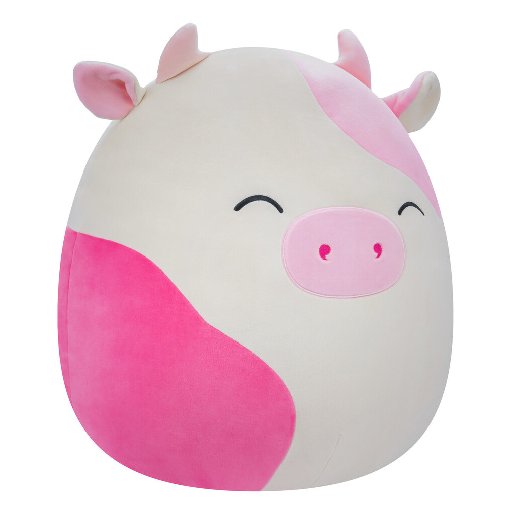 Pliušinis žaislas Squishmallows W18, 40 cm цена и информация | Minkšti (pliušiniai) žaislai | pigu.lt