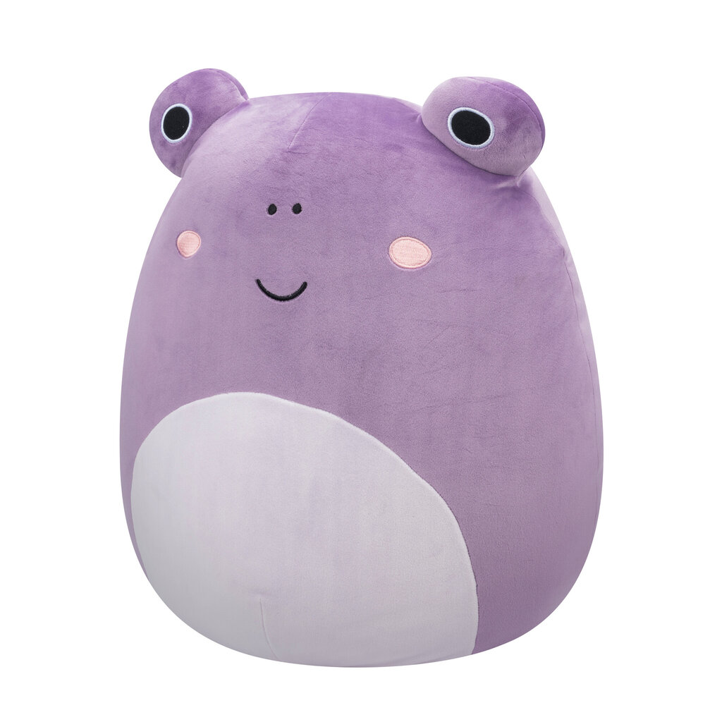 Pliušinis žaislas Squishmallows W18, 40 cm цена и информация | Minkšti (pliušiniai) žaislai | pigu.lt