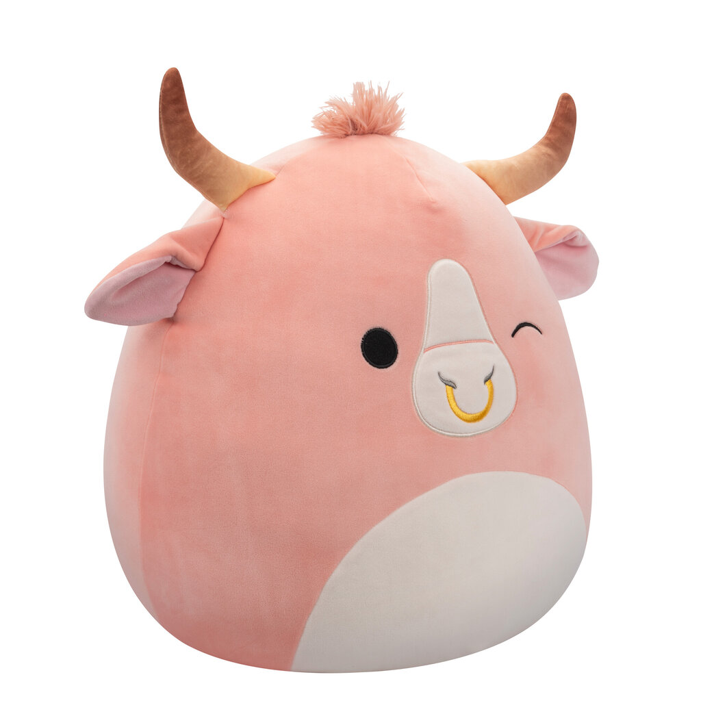 Pliušinis žaislas Squishmallows W18, 40 cm цена и информация | Minkšti (pliušiniai) žaislai | pigu.lt