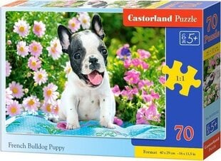 Castorland Puzzle 70 French bulldog puppy CASTOR цена и информация | Пазлы | pigu.lt