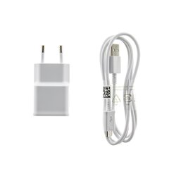 EP-TA50EWE + ECB-DU4AWE Samsung 8W Travel Charger + microUSB Data Cable White (OOB Bulk) цена и информация | Зарядные устройства для телефонов | pigu.lt