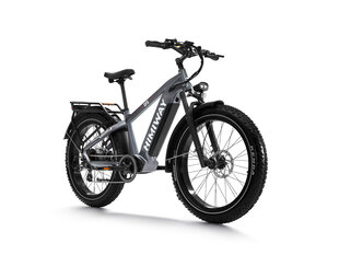 Elektrinis dviratis Himiway Zebra 26", pilkas kaina ir informacija | Elektriniai dviračiai | pigu.lt