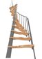 Spiraliniai laiptai Minka Suono Smart Ø140 cm, Sidabrinė kaina ir informacija | Laiptai | pigu.lt