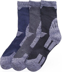 Kojinės vyrams Apollon BCR7106, įvairių spalvų, 3 poros kaina ir informacija | Vyriškos kojinės | pigu.lt