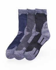 Kojinės vyrams Apollon BCR7106, įvairių spalvų, 3 poros kaina ir informacija | Vyriškos kojinės | pigu.lt
