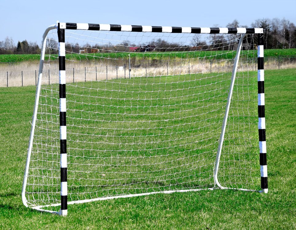 Futbolo vartai, 300 x 205 x 90 cm цена и информация | Futbolo vartai ir tinklai | pigu.lt