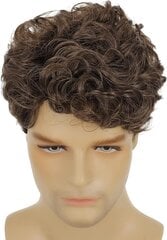 Vyriškas perukas Beweig kaina ir informacija | Plaukų aksesuarai | pigu.lt