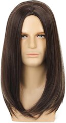 Мужской парик Beweig, 260 г цена и информация | Аксессуары для волос | pigu.lt