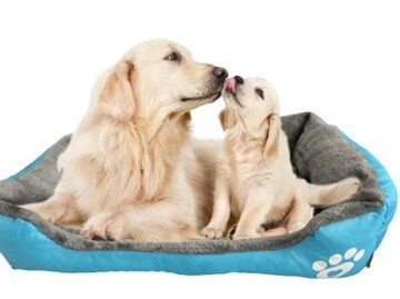 Guolis šunims Cez-Tom, mėlynas kaina ir informacija | Guoliai, pagalvėlės | pigu.lt
