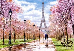CASTORLAND Puzzle 1000 elementów Romantic Walk In Paris Romantyczny spacer w Paryżu 68x47cm цена и информация | Пазлы | pigu.lt