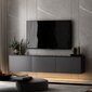 TV staliukas Asir Neon Illuminated, pilkas kaina ir informacija | TV staliukai | pigu.lt