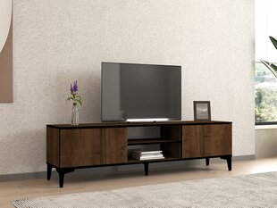 TV stalas Erem - Walnut, Black kaina ir informacija | TV staliukai | pigu.lt