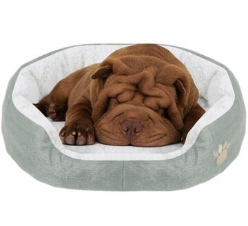 Guolis šunims Aptel, 50x40 cm, pilkas цена и информация | Guoliai, pagalvėlės | pigu.lt