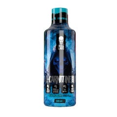 L-karnitinas Skull Labs L-carnitine 3000, 500 ml kaina ir informacija | L-karnitinas | pigu.lt