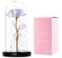 Amžinoji Rožė su LED apšvietimu, balta kaina ir informacija | Kitos originalios dovanos | pigu.lt