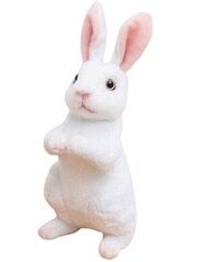 Милый имитированный плюшевый кролик, 24 см, белый цена и информация | Мягкие игрушки | pigu.lt