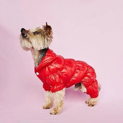 Kombinezonas šunims, S dydis, raudonas цена и информация | Одежда для собак | pigu.lt