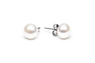 Sidabriniai auskarai su perlais, Diamond Pearl kaina ir informacija | Auskarai | pigu.lt