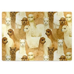 Apsauginis grindų kilimėlis Decormat Alpakos, įvairių spalvų kaina ir informacija | Biuro kėdės | pigu.lt