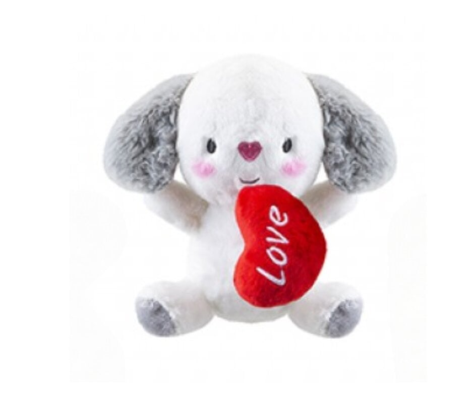 Pliušinis valentino šuniukas su širdele, 15 cm kaina ir informacija | Minkšti (pliušiniai) žaislai | pigu.lt