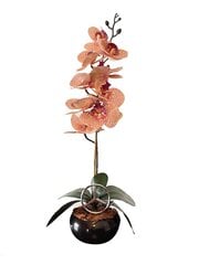 Искусственная орхидея Мерседес / 55 см цена и информация | Искусственные цветы | pigu.lt