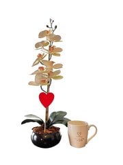 Dirbtinė orchidėja Melanija, 55 cm + puodelis kaina ir informacija | Dirbtinės gėlės | pigu.lt
