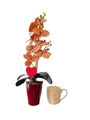 Искусственная орхидея Valentina, 55см + чашка цена и информация | Искусственные цветы | pigu.lt