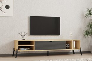 TV stovas Asir, 160x36x40 cm, smėlio/pilkas kaina ir informacija | TV staliukai | pigu.lt
