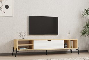 TV stovas Asir, 160x36x40 cm, smėlio/baltas kaina ir informacija | TV staliukai | pigu.lt