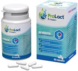 Maisto papildas ProLact Focus+, 60 kaps. цена и информация | Витамины, пищевые добавки, препараты для хорошего самочувствия | pigu.lt