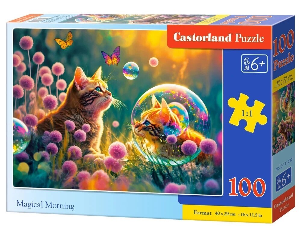 Dėlionė Castorland Magiškas rytas, 100 d. цена и информация | Dėlionės (puzzle) | pigu.lt