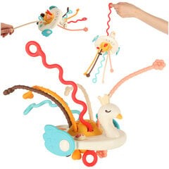 Sensorinis žaislas kūdikiams gulbė IKONKX4310 цена и информация | Игрушки для малышей | pigu.lt
