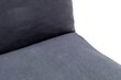 Sofa-lova Atelier Del Sofa Taida, pilka kaina ir informacija | Sofos | pigu.lt