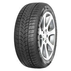 Minerva Frostrack UHP 205/45R17 88 V XL цена и информация | Зимние шины | pigu.lt