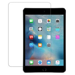 iLike 2.5D Края Защитное стекло для экрана Apple iPad Mini 5 7.9'' (2019) 5th gen / Mini 4 (2015) 4th Gen цена и информация | Аксессуары для планшетов, электронных книг | pigu.lt